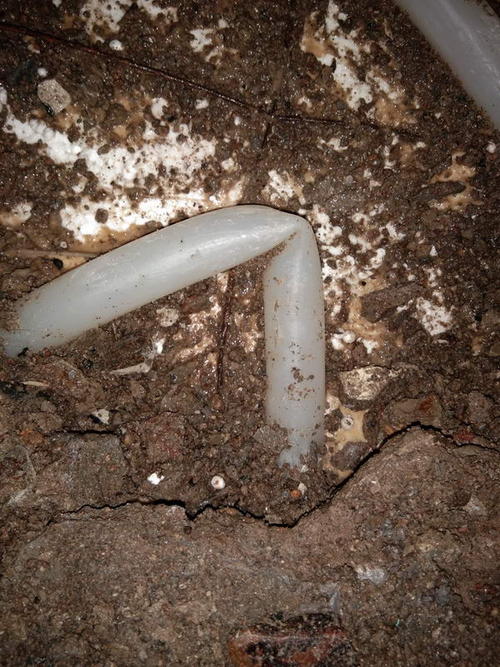 桂东堵点精准查找